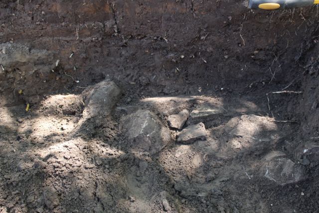 On day seven, a major find was made, the foundation to a building, maybe the summer kitchen.