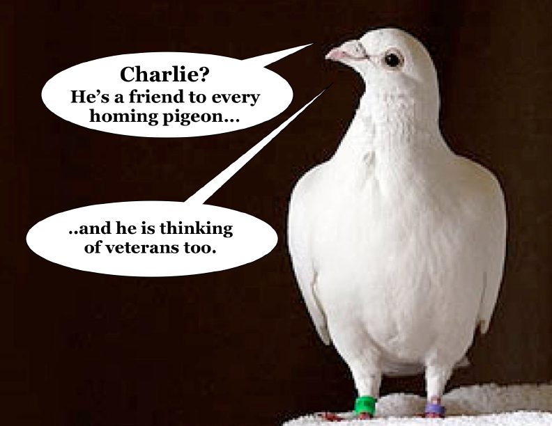 Speech bubbles added to photo from: https://www.asianscientist.com/2012/04/in-the-lab/homing-pigeons-magnetic-fields-macrophages-2012/